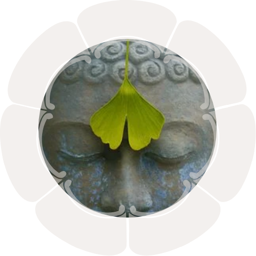 dojo_yoga-fotofin